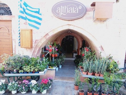 Althaia Florist