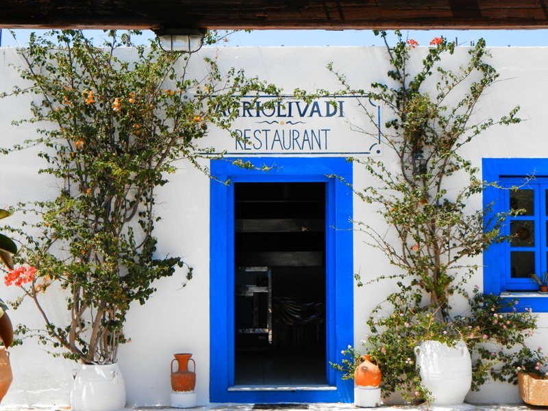 AGRIOLIVADI RESTAURANT