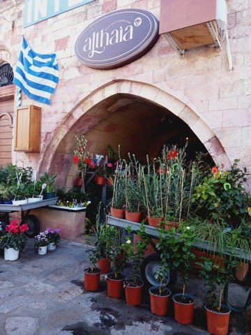 Althaia Aνθοπωλείο